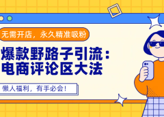 爆款野路子引流：电商评论区大法，无需开店，永久精准吸粉，懒人福利，有手必会！