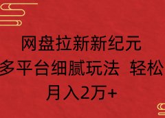 网盘拉新新纪元多平台细腻玩法 轻松月入2万+