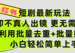 小红书短剧最新玩法,轻松日入3000+,既不真人出镜,更不用剪辑,全程搬运,傻瓜式操作,私域零成本批量操作