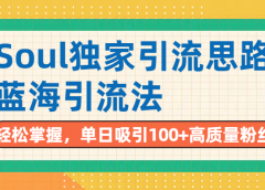 Soul独家引流思路,单日吸引100+高质量粉丝,蓝海引流法,轻松掌握