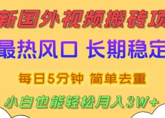 国外视频搬砖项目，2025最新热门风口，简单去重剪辑，小白也能轻松月入3W+