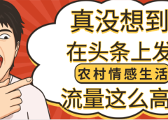 【万万没想到】在头条做《农村情感生活》二创小故事,收益暴增,昨天收益1300+