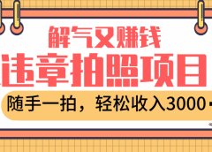最新违章拍照赚钱，解气又赚钱的项目，随手一拍，轻松收入3000+