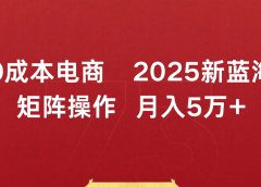 0成本电商2025新蓝海矩阵操作 月入5万+