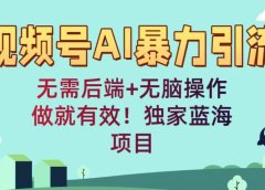 视频号AI暴力引流:无需后端+无脑操作,做就有效!独家蓝海项目