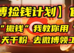 【微博捡钱计划】官方正在“撒钱”，我教你用“野路子”1天千粉，去微博领工资！