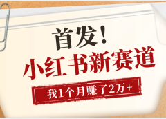 【首发】小红书全新赛道,我自己靠这个项目上个月收益2W+