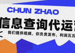 信息查询代运营小众蓝海爆款项目，每天发发视频，单日稳定变现500+