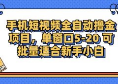 手机短视频全自动撸金项目，单窗口5-20可批量适合新手小白