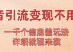 抖音引流变现不用愁！一千个信息差玩法详细教程来袭