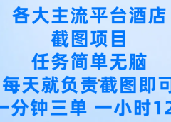 各大主流平台酒店截图项目，任务简单无脑，每天就负责截图即可，一分钟三单 ，一小时可以做120