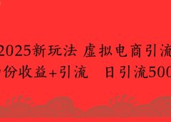 2025新玩法，虚拟电商引流两份收益+引流 日引流500+