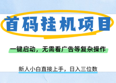 首码挂机项目，一键启动，无需看广告等复杂操作，新手小白日入三位数