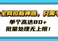 首个全网拉新神器,只需手机,单个高达80+,批量处理无上限!
