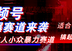 视频号玩法，最新爆火赛道，中老年人深信不疑，适合小白，宝妈，轻松实现日入1000+
