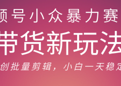 视频号小众暴力赛道,最新带货玩法 小白也能轻松日入500+ 保姆及教程