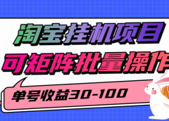 淘宝电脑全自动挂机项目,单号30-100,可矩阵批量操作!
