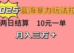蓝海暴力拉新项目，10元一单，两日结算，月入3w➕