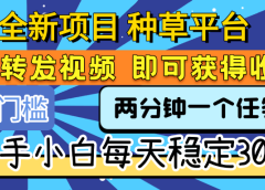 全新项目 种草平台 只需要转发任务视频 即可获得收益 新手小白每天稳定300+