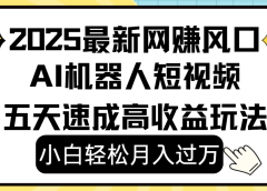 2025最新网赚变现风口，Ai 机器人短视频，小白轻松月入过万，五天速成高收益玩法