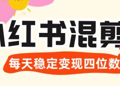 价值 3980 的小红书混剪， 虚拟变现 ＋全网项目库 ， 日引 200+宝妈创业粉，每天稳定四位数变现