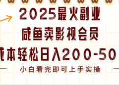 2025最火副业闲鱼卖vip影视会员，零成本日入200-500