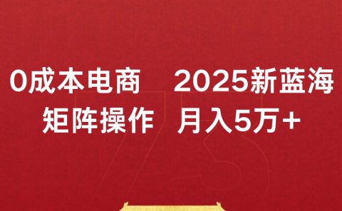 0成本电商2025新蓝海矩阵操作 月入5万+
