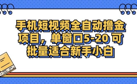 手机短视频全自动撸金项目，单窗口5-20可批量适合新手小白