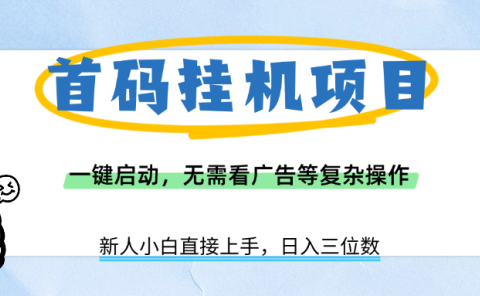 首码挂机项目，一键启动，无需看广告等复杂操作，新手小白日入三位数