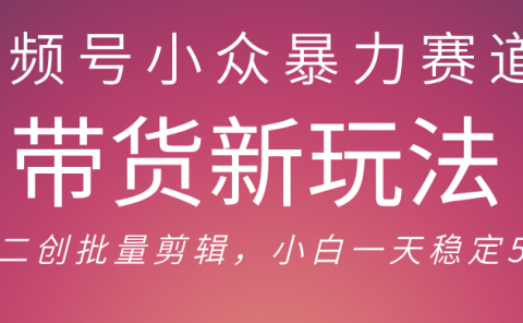 视频号小众暴力赛道,最新带货玩法 小白也能轻松日入500+ 保姆及教程