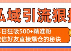 私域引流狠招:单日狂吸500+精准粉,微信好友直接爆仓的秘诀