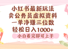 小红书,卖公务员虚拟资料,一单净赚100,日入1000+