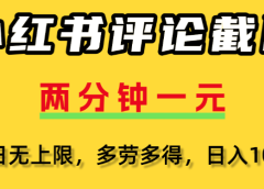 小红书评论区评论截图,一分钟2条,日入几千,多劳多得