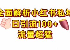 小红书私域引流 每天加100+