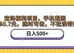 手机截图,宝妈福利项目,一单0.7元,随时可做,不耽误带娃,日入500+