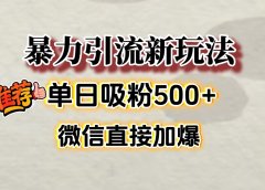 微信加爆的引流超级方法，单日吸粉500➕