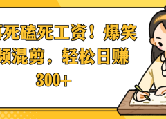 别再死磕死工资!爆笑视频混剪,轻松日赚 300+