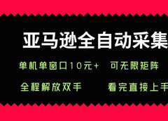 亚马逊全自动采集,单机单窗口一天10+,可无限矩阵去做