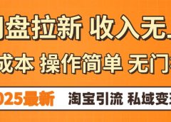 0门槛0成本 操作简单无门槛!2025最新网盘拉新玩法,小白福利重磅来袭