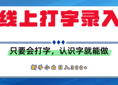 简单线上打字录入,用手机或者电脑就能操作,会识字就能玩,新人小白日入300+