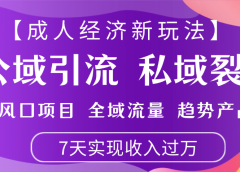 首发:【成人经济新玩法】市面独家玩法,风口项目、全域流量、趋势产品,7天实现月入过万