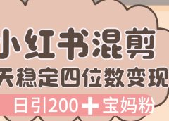 价值 3980 的小红书混剪, 虚拟变现,日引 200+宝妈创业粉,每天稳定四位数变现