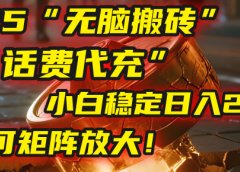 无脑搬砖项目:靠“话费代充”,小白稳定日入200+,可矩阵放大!