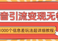 抖音引流变现无忧:1000个信息差玩法超详细教程