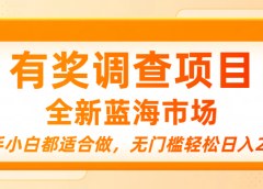 有奖调查项目,全新蓝海市场,新手小白都适合做,无门槛轻松日入200+