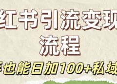 保姆级教程:小红书引流变现全流程,新手也能日加100+私域好友