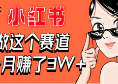 【惊叹!】在小红书做这个赛道,2个月收益3W+