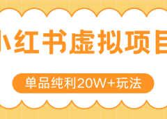 小红书卖虚拟产品,单品纯利20W+玩法分享(4节系列课程)