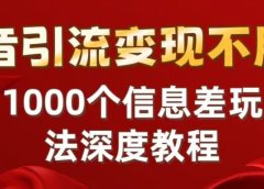 抖音引流变现不用愁:1000个信息差玩法深度教程