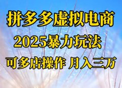 拼多多虚拟电商，不囤货不垫资的虚拟电商